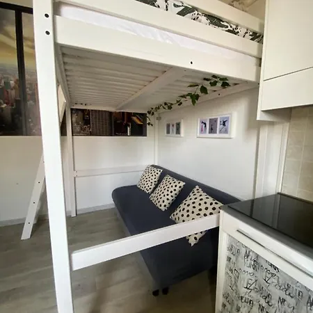 Domus *